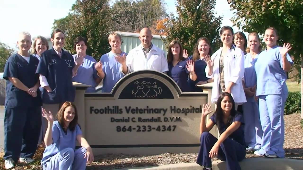Foothills Veterinary Commercial YouTube