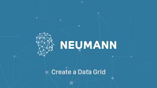 Neumann AI - Create a Data Grid