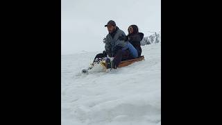 12 Day Kashmir Tour Day 2 My G/D Enjoying Sledge Ride #travel #sonmarg #sledge #shorts #viral