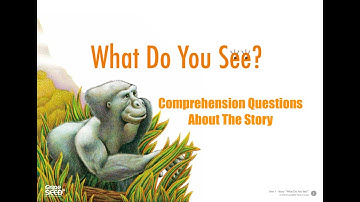 Comprehension Questions For The Story "What Do You See" | Unit 1 GrapeSEEDs
