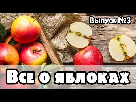 Яблоки - энергетическая ценность, польза и вред, , совместимость с растительными продуктами