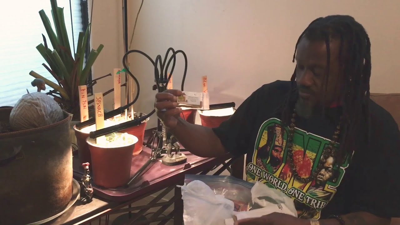 Las Vegas fruits & veggies prices vs homegrown... Save money & grow