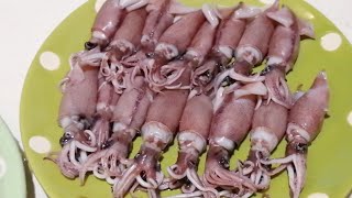 ホタルイカ掘っ立て小屋LIVE