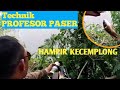 Strike - Nembak ikan, tiksay fish, passer ikan, airgun fishing || IKAN LIAR