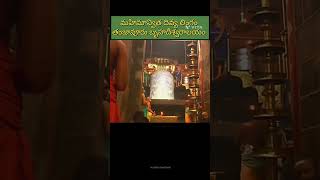 Tanjavur Bruhadeeshwaraalayam #bhakti #devotional #shiv #jyotirling #tamil