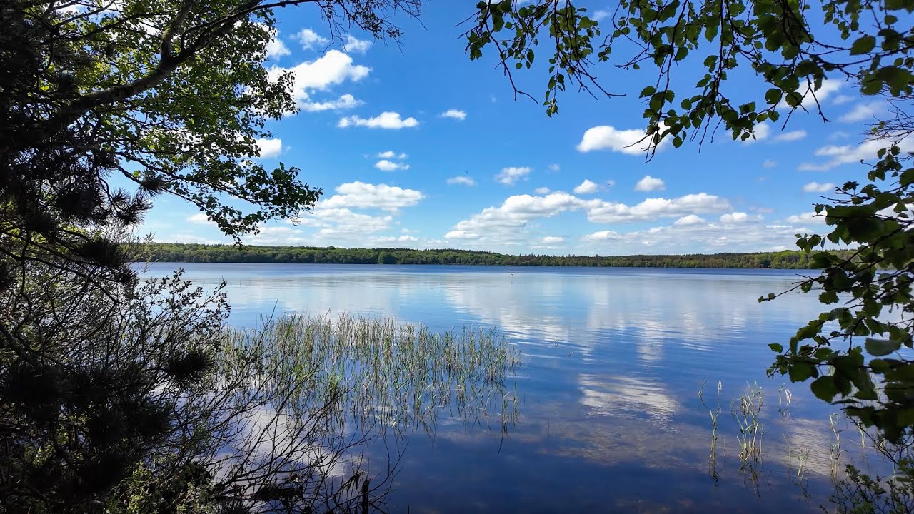 🇩🇰 Silent Hiking in Denmark: Madum Lake, Hellum Forest & Rold Skov: National Park 🌲🌊 (Part 1)