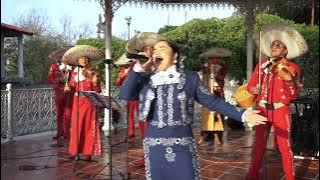 Aires del Mayab · MaryCruz 👑