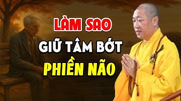 LÀM SAO ĐỂ TÂM BỚT PHIỀN NÃO l Thầy Thích Thiện Thuận