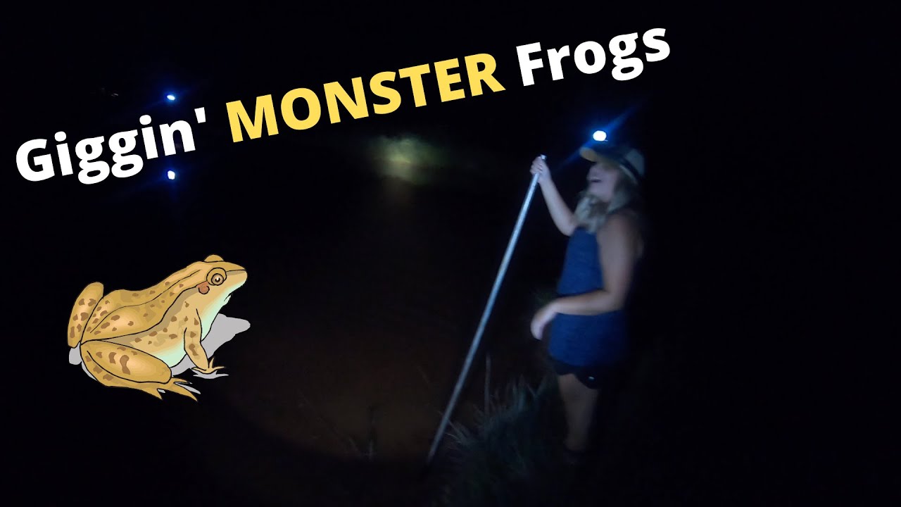 How to gig MONSTER Bullfrogs!! - YouTube