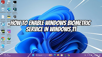 How to Enable Windows Biometric Service in Windows 11