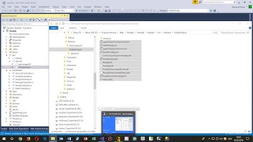 How the Asp Core Web Server Kestrel Hangs Up Fatal