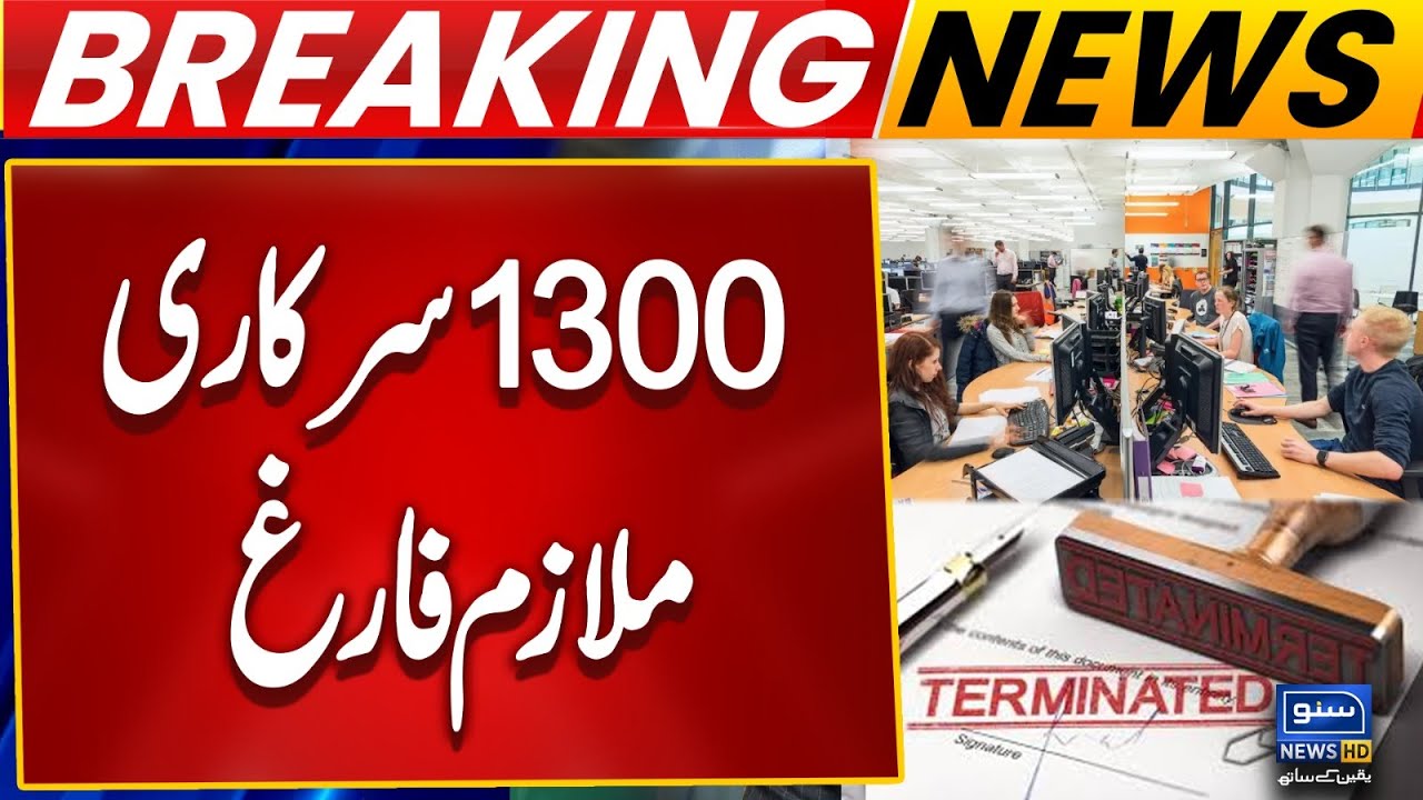 US State Department Lays Off 1,300+ Employees | Trump Administration Restructuring Plan