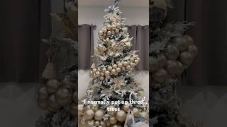 Career Overview DON’T use Glass Ornaments 🎈🎄 Do this Instead #christmas #christmastree #xmas