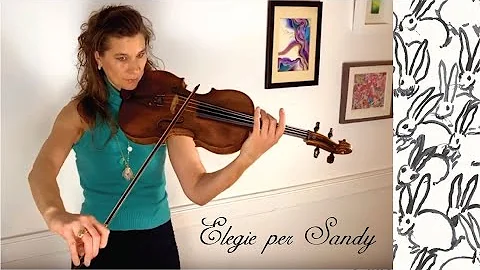 Elegie for an Exceptional Rabbit | Viola Performance