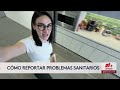¿Cómo denunciar una plaga o infestación en negocios? Estos son los pasos