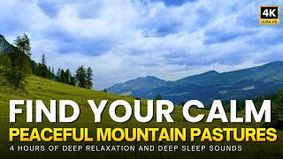 Soft Mountain Wind in an Alpine Meadow • 4 Hours of Nature Sounds for Relaxation, Focus & Sleep