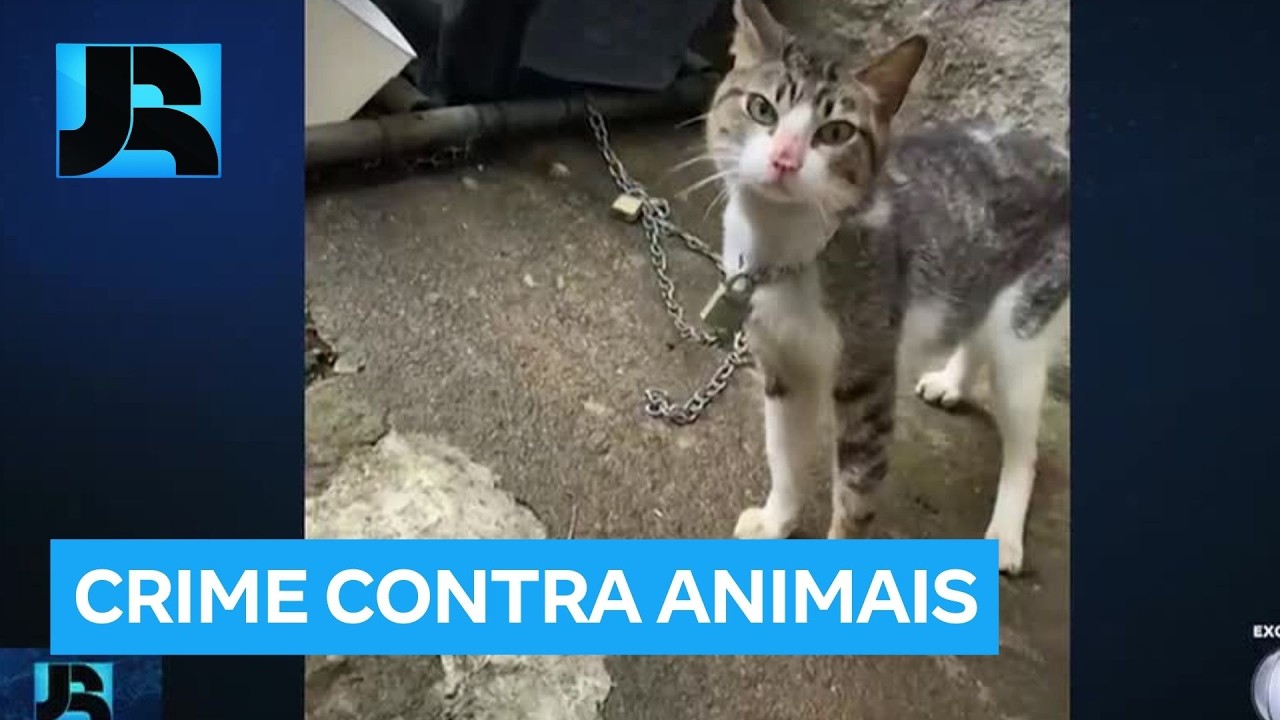 Polícia monitora jovens que incentivam crueldade contra animais pela internet