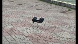 TeamMagic E5HX 3S BackFlip / 팀매직 미니신식이 3셀 스탠딩백플립