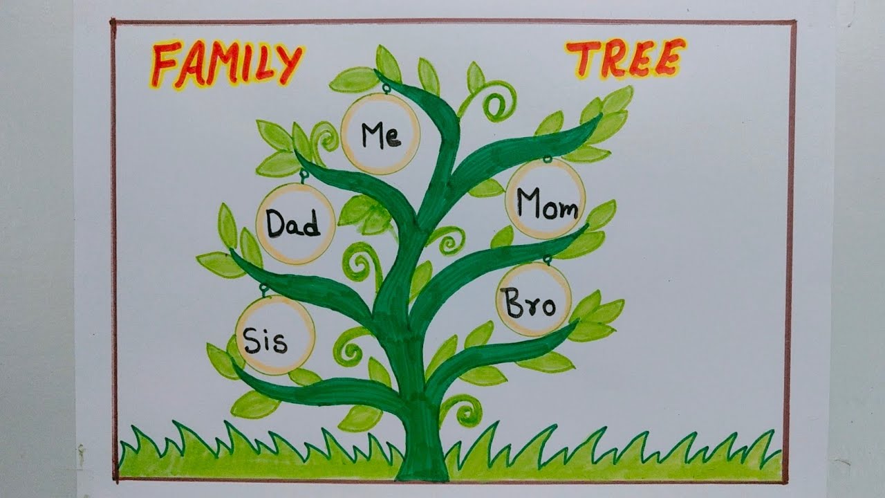 How to draw a family tree step by step / Family tree drawing for school project 