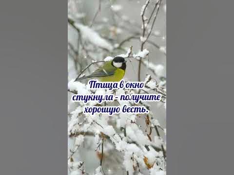 24 Января#Федосеев день#Федосей-весняк#приметы и обычаи - YouTube