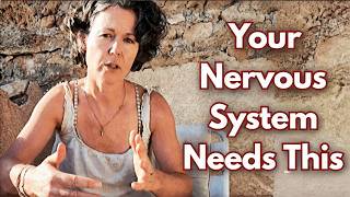 Dysregulated Nervous System Or Sensitised? What Your Body Needs Is This.