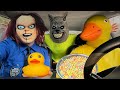 Rubber ducky surprises wolf  police with car ride chase