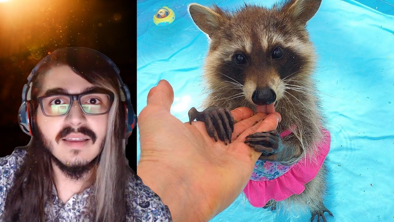 Kendine Müzisyen - Rakunlar Suyu Sever mi? Tartışması Yapıyorlar (BEN