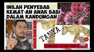Ini Solusi Janin Babi Mat1 dalam Kandungan screenshot 5