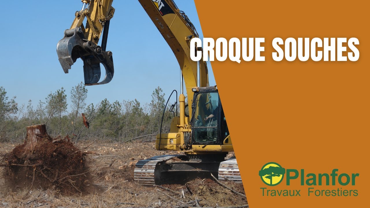 Croque souche - Planfor Forêt-Bois