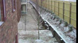 Snowing in Dothan Alabama