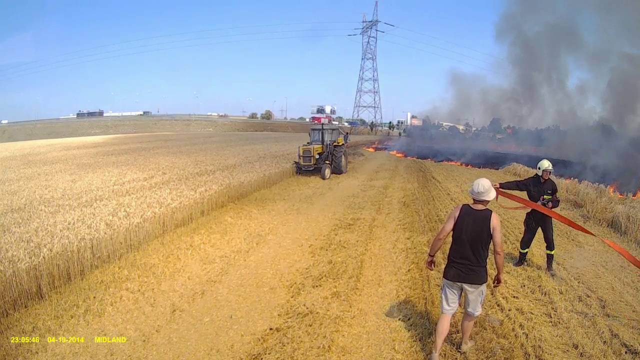 Pożar Rżyska - zagrożone zboże na pniu!
