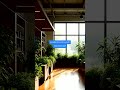 Biophilic dizajn - novi zeleni trend koji osvaja svijet #zanimljivostinet #zanimljivosti #zanimljivo