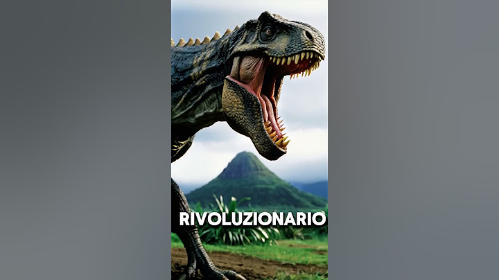 5 Curiosità  #142