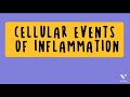 Cellular events of inflammation