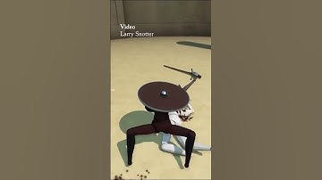 Hey, we like turtles too! #GladioMori #Turtles