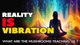 Breakthrough: What Psilocybin Teaches Us About Reality