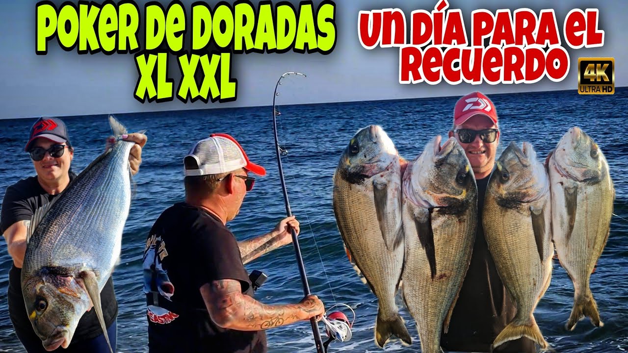 💥 BOOOM Poker de doradas Xl Xxl Surfcasting un día para el recuerdo 💥