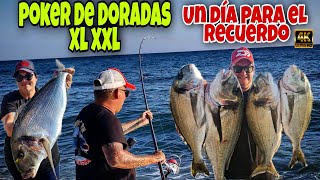 💥 BOOOM Poker de doradas Xl Xxl Surfcasting un día para el recuerdo 💥