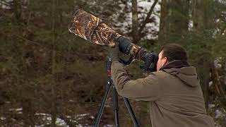 Wildlife Photographer - WFSB TV-3 - February 2024