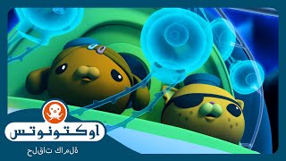 أوكتونوتس | 🪼 السحاريات ✨ | السلسلة 3 | الحلقة 1