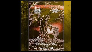 High Mage X Forest of Orthanc -  "The Wandering Mage of the Spellbound Wood"  (2020 Split Album)
