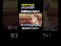 紛れてる高額商品を見抜け！ #ポルカの伝説 #尾丸ポルカ