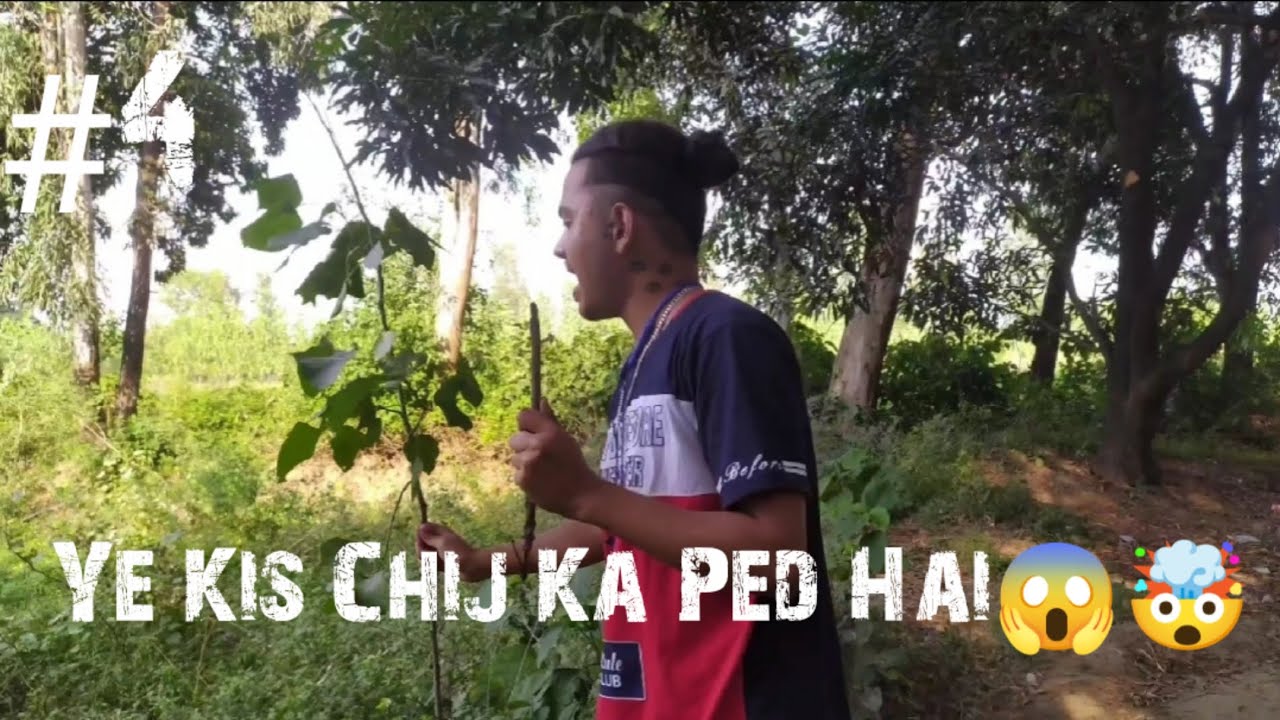 Ye Kis Chij Ka Ped Hai LS King Modern Vlog Vlogs vlog Ye Kis Chij Ka Ped Hai LS King Modern Vlog Vlogs vlog