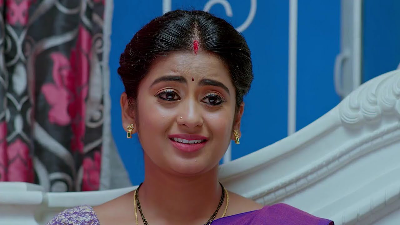 Megharagam - Full Ep - 463 - Zee Keralam