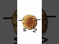 256x pancake normal