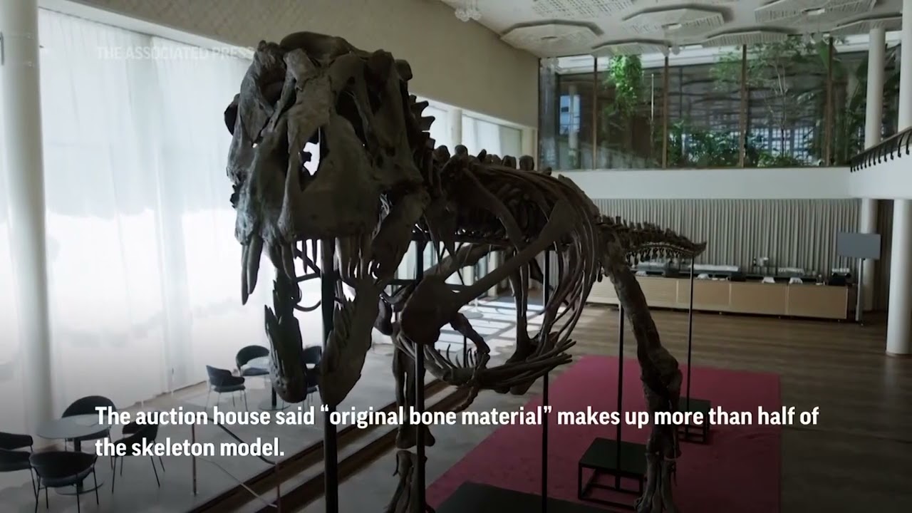 T. Rex skeleton sells for $5.3m at auction