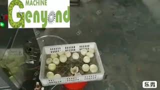 Onion Peeling Machine Genyond