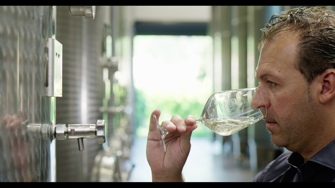 Andreola - Valdobbiadene Docg - Una storia eroica