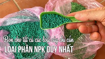 Bón cho tất cả các loại cây chỉ cần loại NPK này giúp cây kín hoa