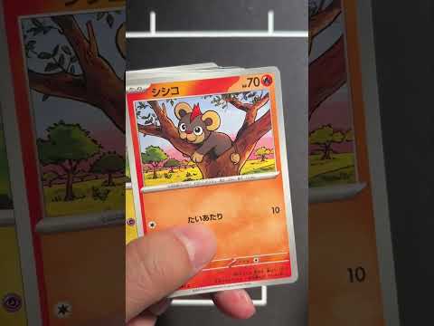 【一昨日発売AMSR】毎日10パック開封74DAYS ニンジャスピナー　#ポケカ #ポケカ開封